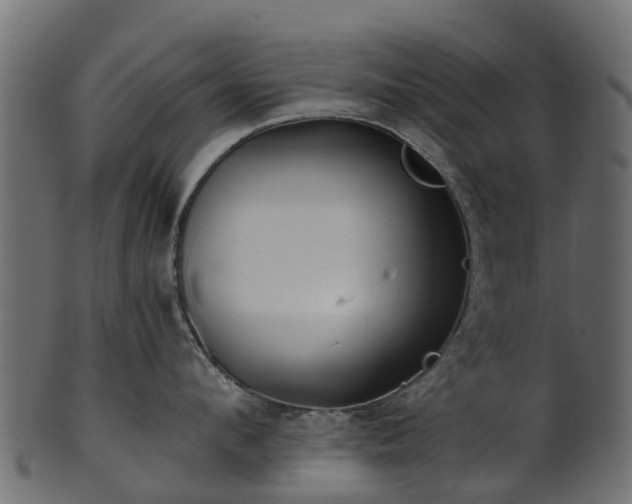 X0000101110912200807031737