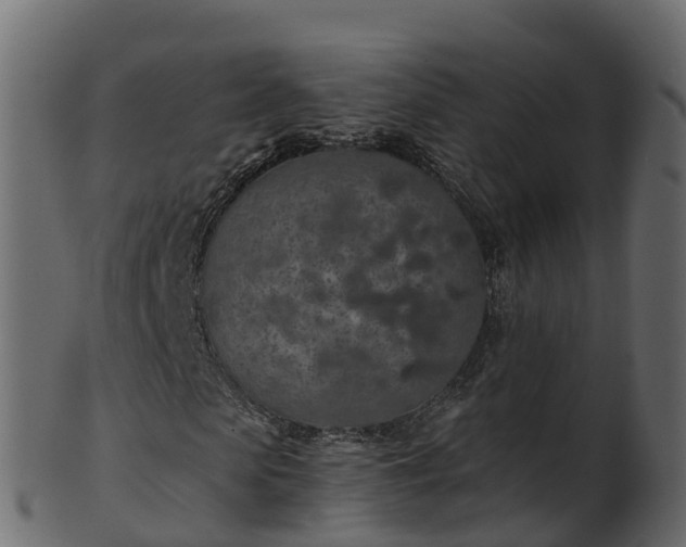 X0000101110913200807031736
