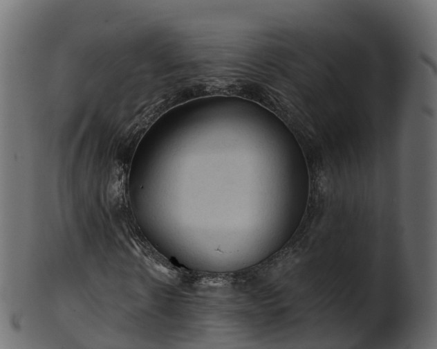 X0000101110914200807031736