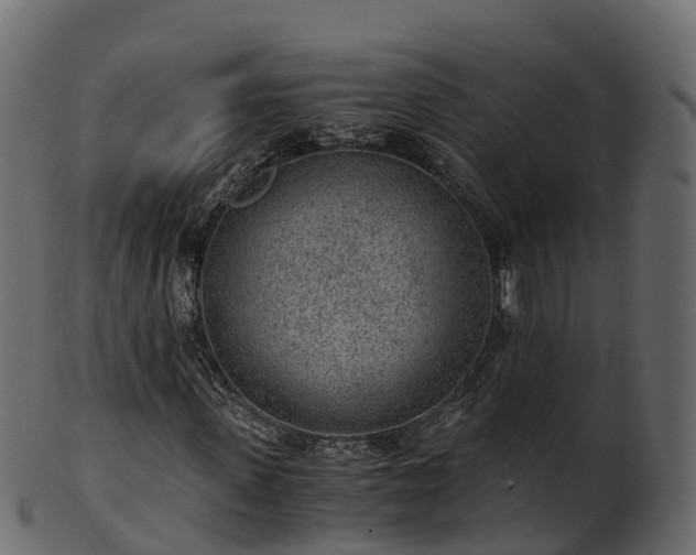 X0000101110915200807031736