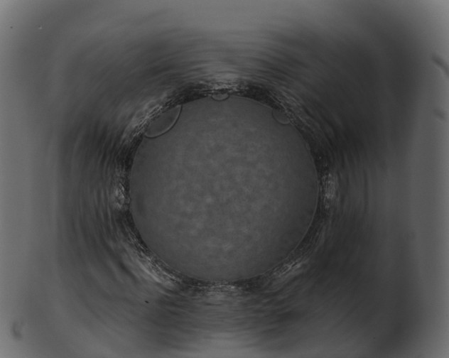 X0000101110916200807031736