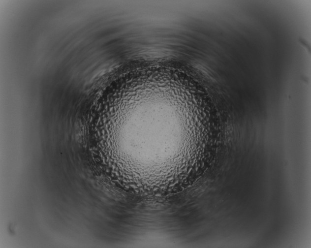 X0000101110917200807031736