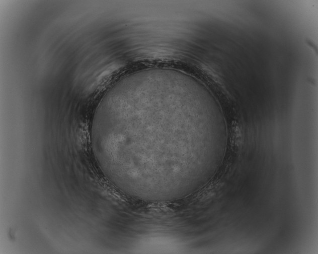 X0000101110918200807031736