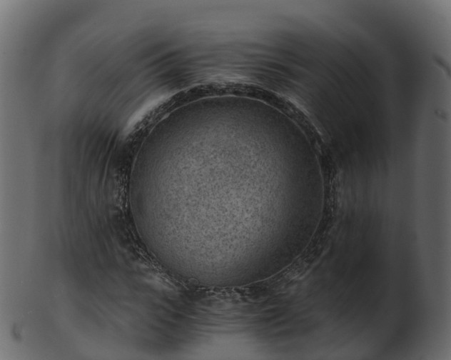 X0000101110919200807031736