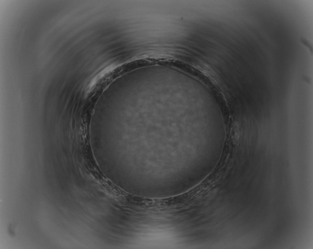 X0000101110920200807031736