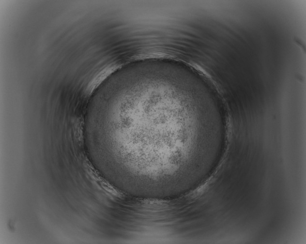 X0000101110921200807031736