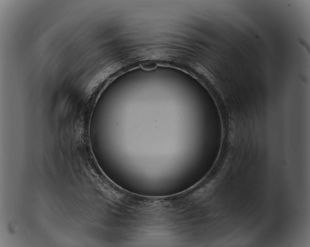 X0000101110922200807031736