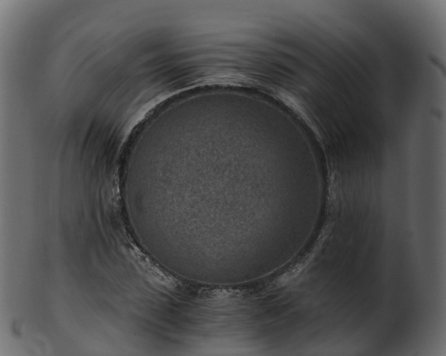 X0000101110923200807031736