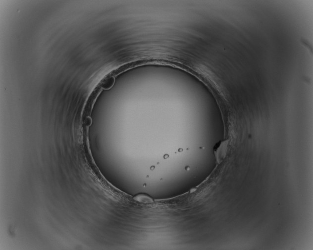 X0000101110924200807031736