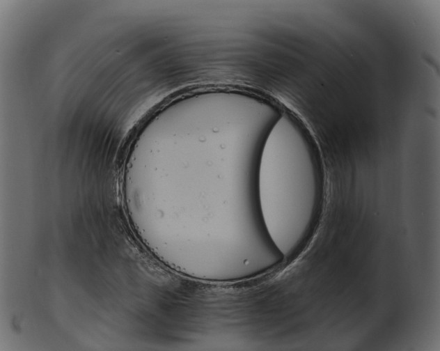 X0000101110925200807031736