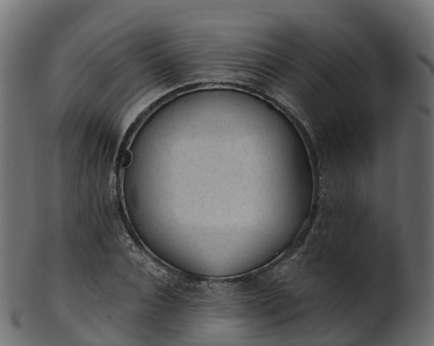 X0000101110928200807031736