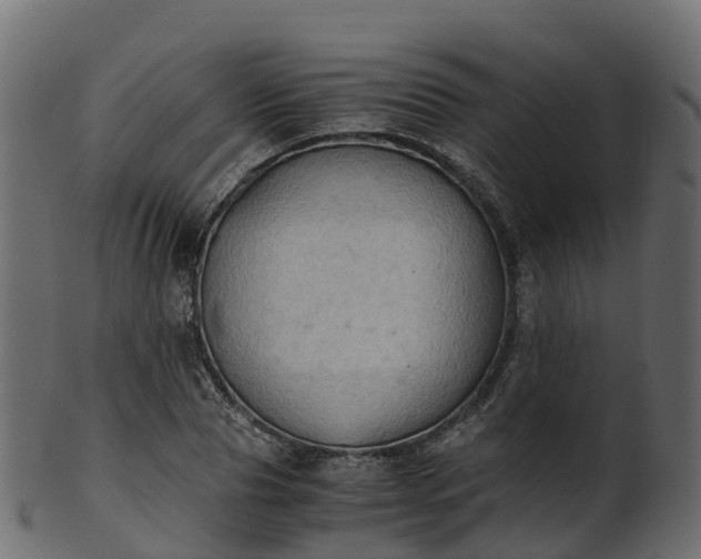X0000101110929200807031736