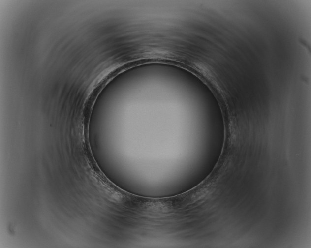 X0000101110931200807031736