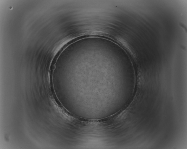 X0000101110932200807031736