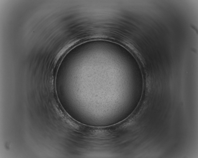 X0000101110933200807031736