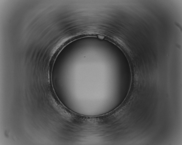 X0000101110934200807031736