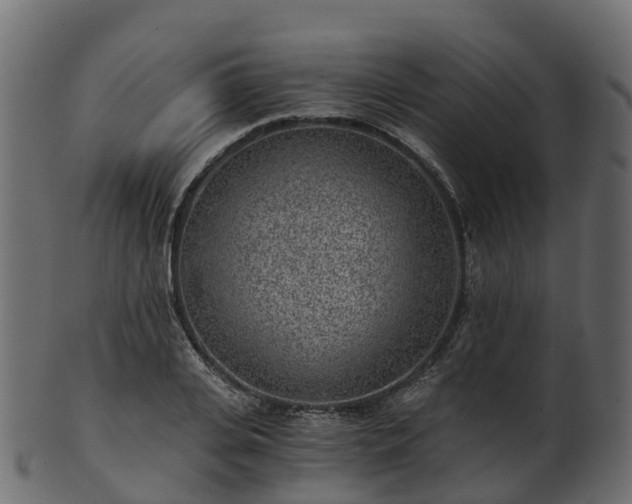X0000101110935200807031736