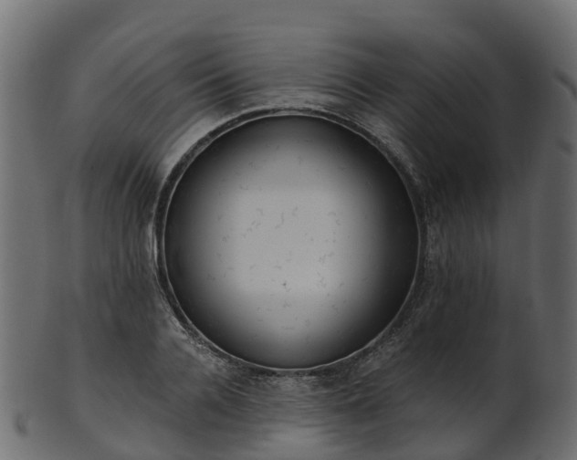 X0000101110936200807031736