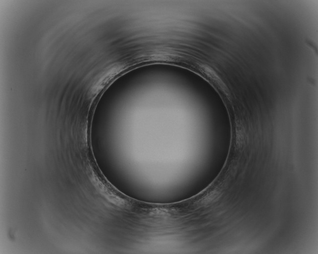 X0000101110938200807031736
