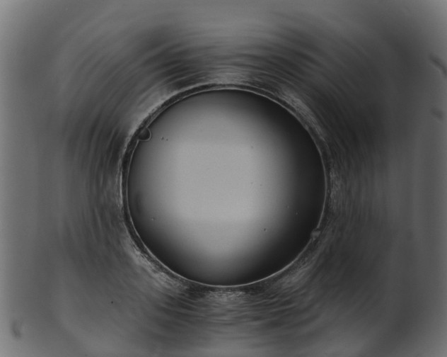 X0000101110939200807031736