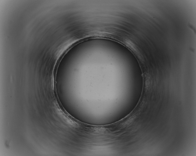 X0000101110940200807031736