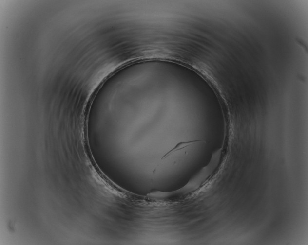 X0000101110941200807031736
