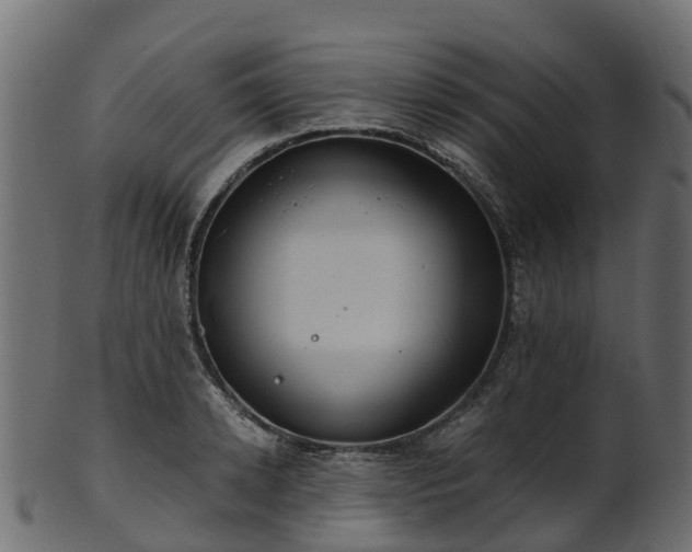 X0000101110942200807031736