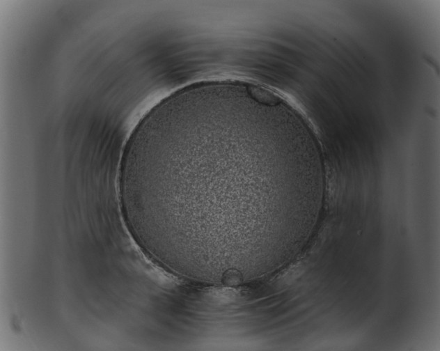 X0000101110943200807031736