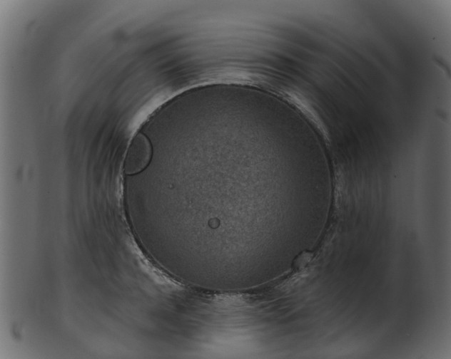 X0000101110944200807031736