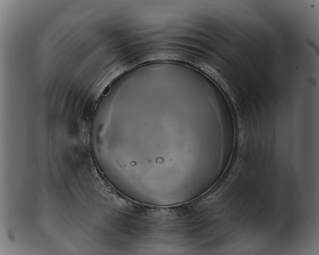 X0000101110945200807031736