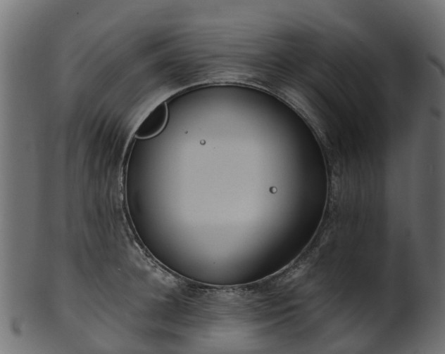 X0000101110948200807031736
