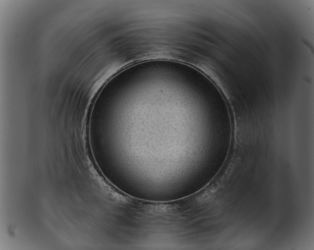 X0000101110949200807031736