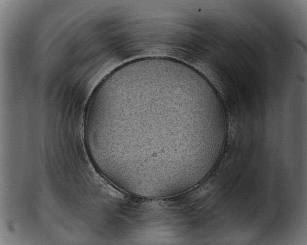 X0000101110950200807031736