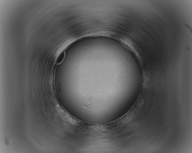 X0000101110952200807031736