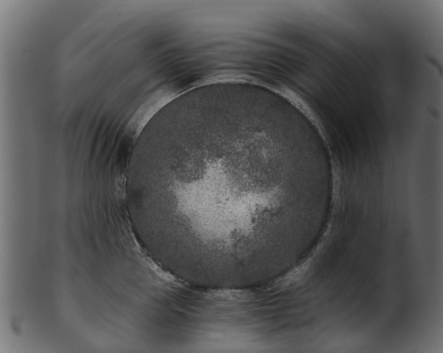 X0000101110953200807031736