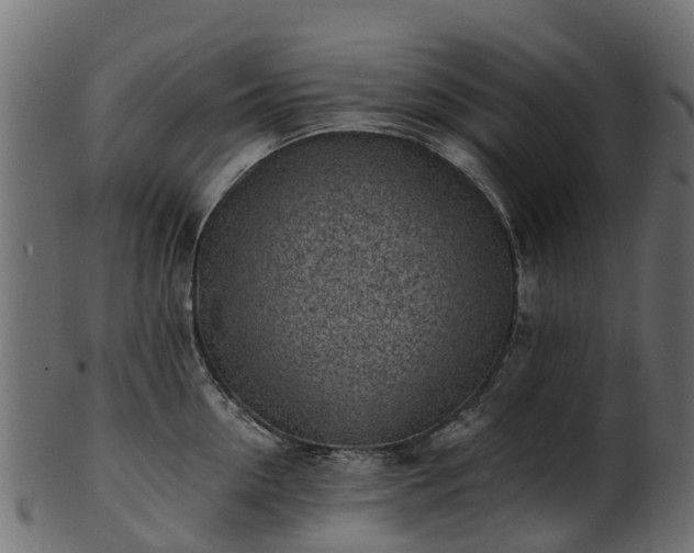X0000101110954200807031736