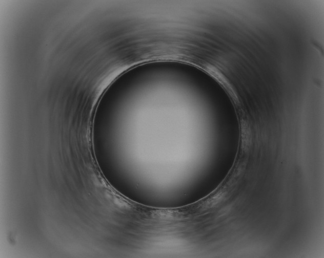 X0000101110956200807031737