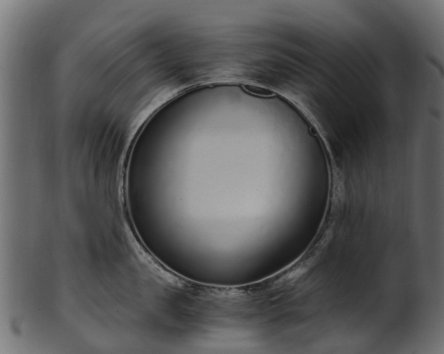 X0000101110957200807031737