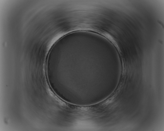 X0000101110958200807031737