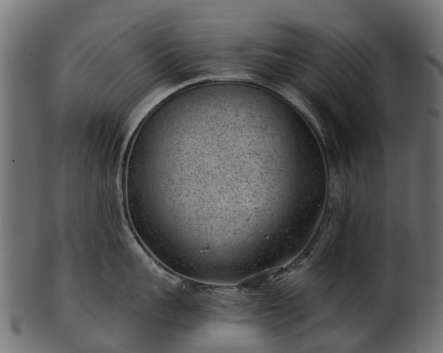 X0000101110959200807031737