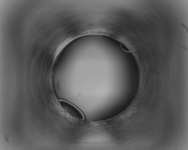 X0000101110960200807031737