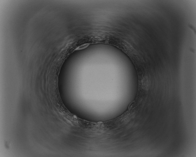 X0000101110961200807031736