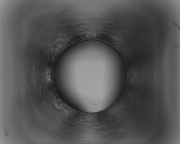X0000101110962200807031736