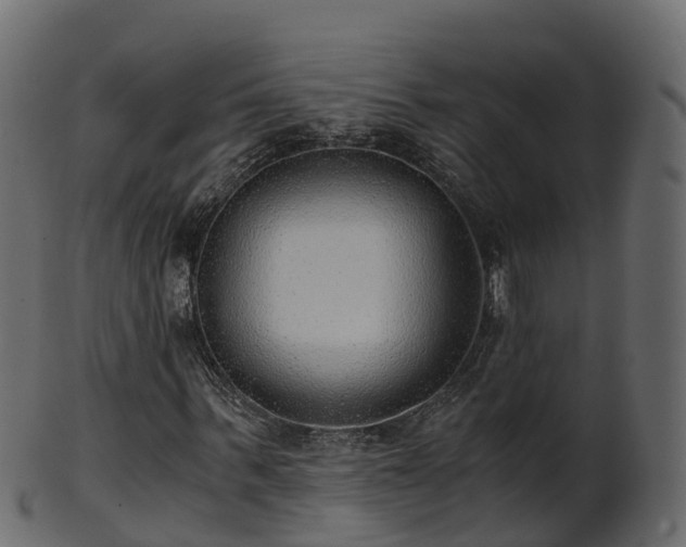 X0000101110963200807031736