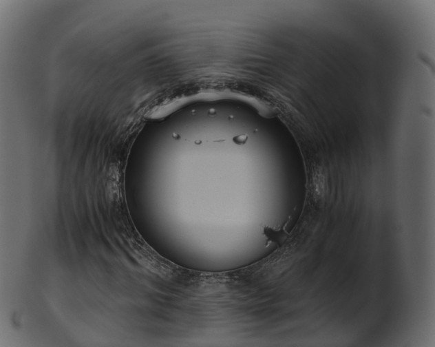 X0000101110964200807031736