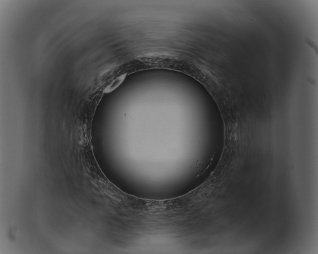 X0000101110965200807031736