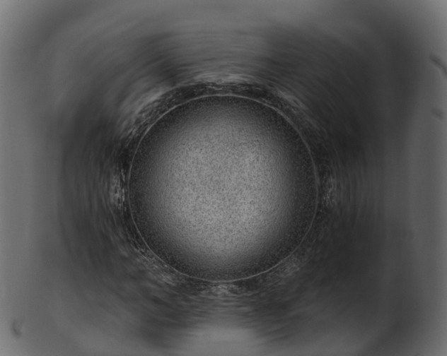 X0000101110966200807031736