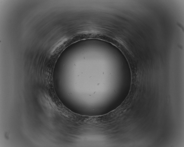 X0000101110967200807031736