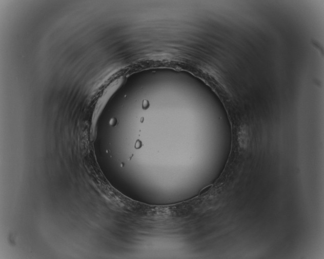 X0000101110968200807031736