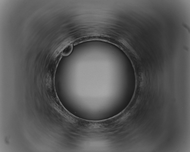 X0000101110969200807031736
